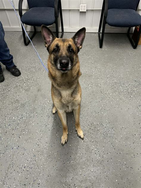 Tri County Animal Control | Jeffersonville IN