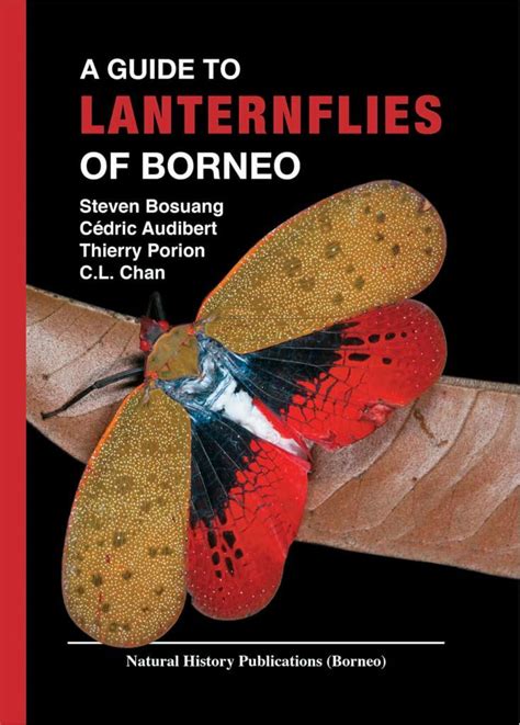 A Guide To Lanternflies Of Borneo Natural History Publications Borneo