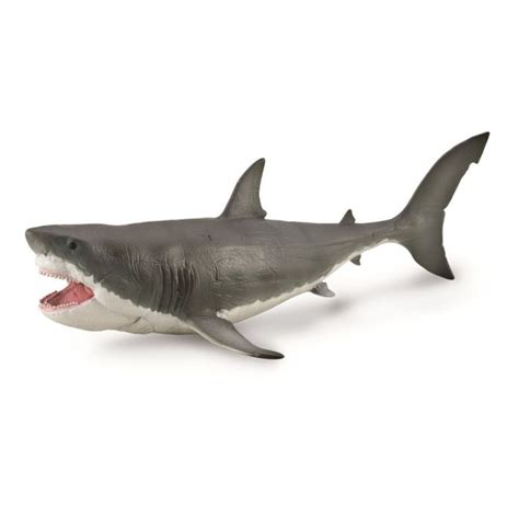 Megalodon Model Jurassic Jacks Fossil Shack