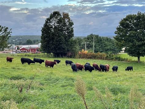 Pleasant View Farms Inc Feed And Grain Manchester Nh
