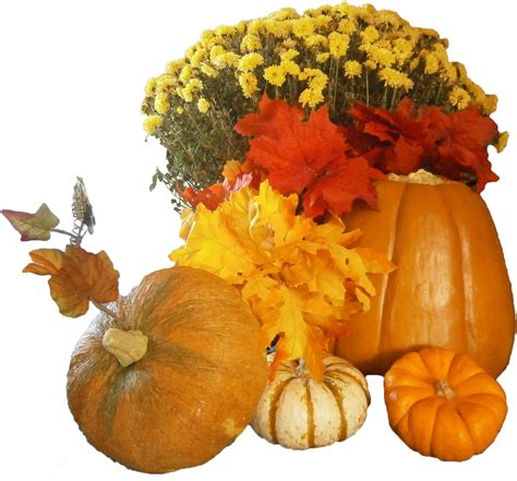 Clipart thanksgiving transparent background, Clipart thanksgiving ...