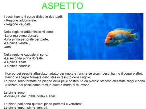 PESCI Ppt Scaricare