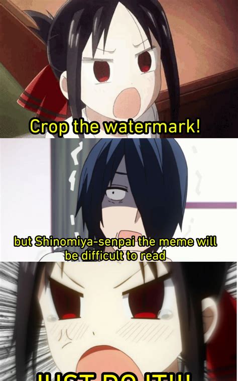 Ishigami kun helps Kaguya sama to make a meme : r/Animemes