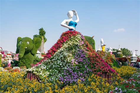 Everything You Need To Know About Dubai Miracle Garden