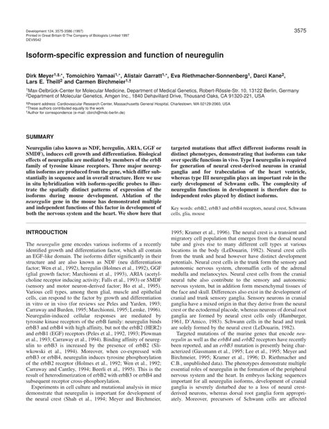 (PDF) Isoform-specific expression and function of neuregulin