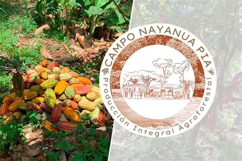 Emprendedores Que Inspiran La Tradici N Familiar De Cacao Artesanal