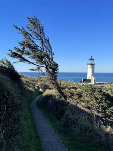 2023 Best Beach Trails in Ilwaco | AllTrails