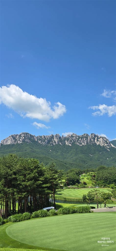 속초여행 고성 카페 소노펠리체 델피노 더엠브로시아 울산바위뷰 스팟 네이버 블로그