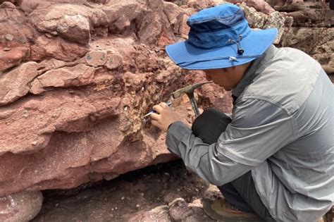 Hong Kong discovers dinosaur fossils for the first time