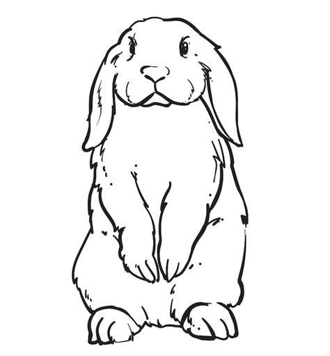 Premium Vector Hand Drawn Cute Rabbit Pose Vector Illustration