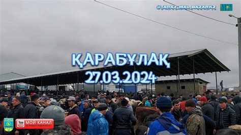 Мал базар Қарабұлақ 27.03.2024 / Mal bazar - YouTube