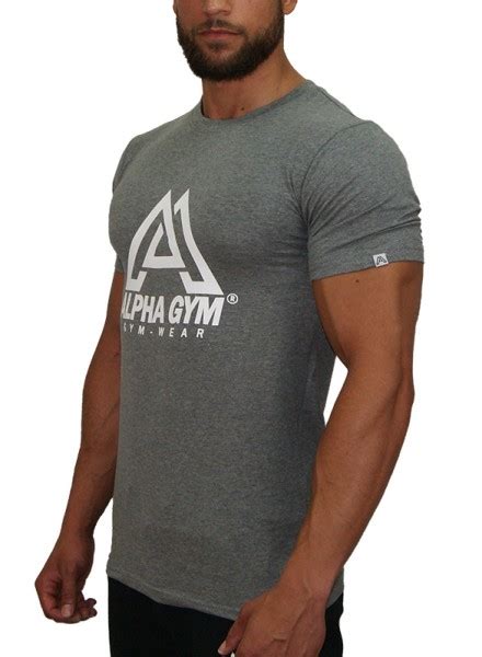 Alpha Gym Big Logo T Shirt Grey T Shirts Longsleeves Men