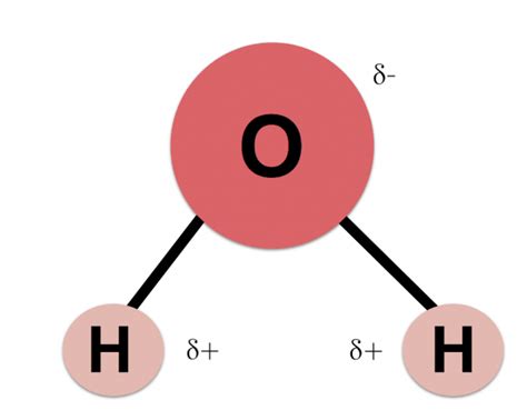 Sketch A Ball And Stick Diagram Of A Water Molecule Water Mo