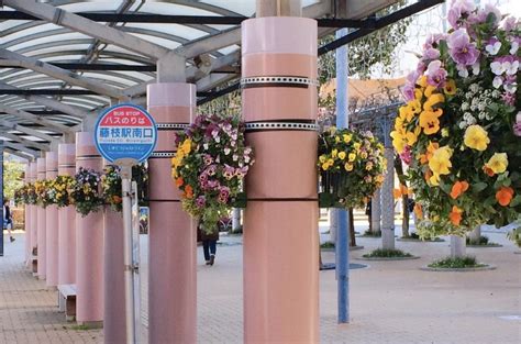 ガーデニング初心者でも安心。講師歴30年のプロのお花屋さんによる「花の楽しみ方」の無料オンラインお話会を1月22日開催。：マピオンニュース