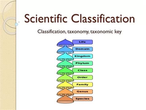 Ppt Scientific Classification Powerpoint Presentation Free Download Id 2412656