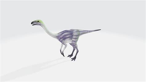 Unaysaurus Dinosaur 3d Model Cgtrader