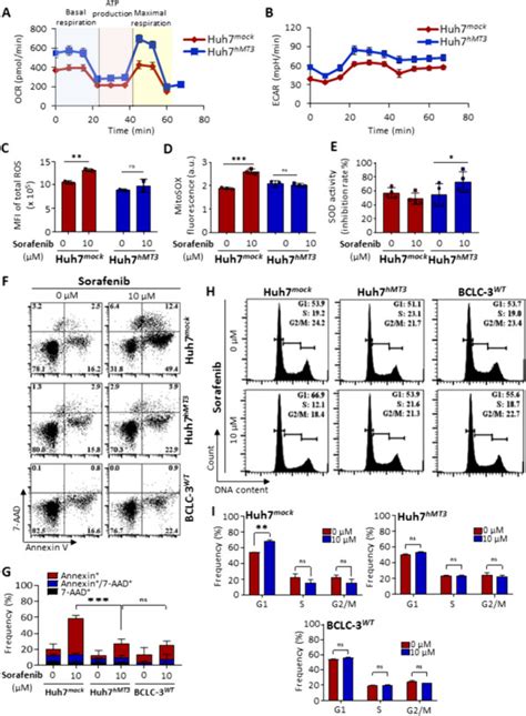 Huh7 Cells Atcc Bioz