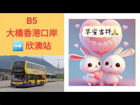 Hong Kong Bus Ctb B Alexander Dennis Enviro Mmc New