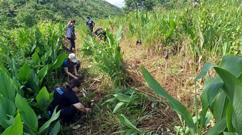 Cleanfuel Conducts Tree Planting Activity In Tanay Rizal Clean Fuel