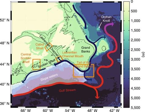 Rapid coastal deoxygenation due to ocean circulation shift in the ... 