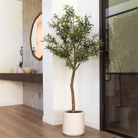 Small Faux Olive Tree Ubicaciondepersonas Cdmx Gob Mx