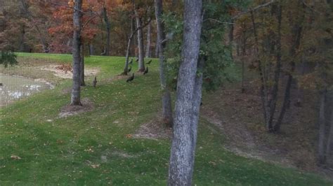 Oak Hollow Campground – Near St. Patrick, Missouri