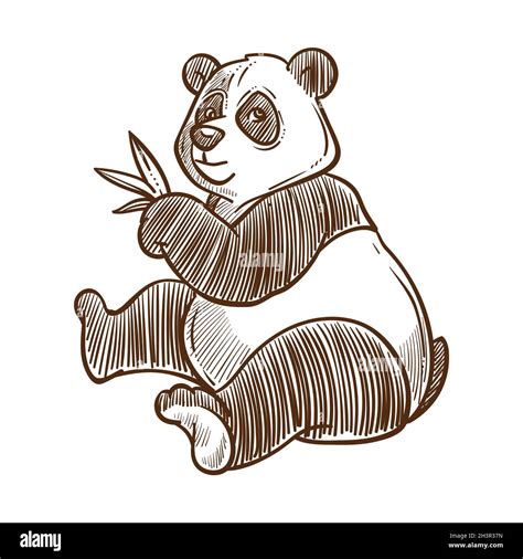 Panda bear with bamboo leaves isolated sketch, Chinese animal Stock ...