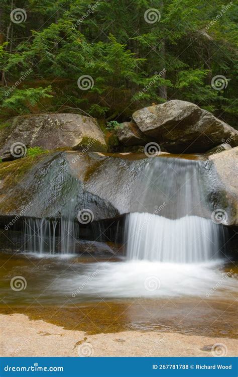 Grafton Notch State Park, Maine in Summer Stock Photo - Image of summer ...