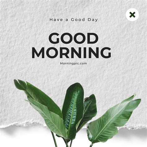 Beautiful Good Morning Nature Images Morning With Nature