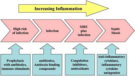 Strategies For The Prevention And Treatment Of Sepsis Adapted From Download Scientific Diagram