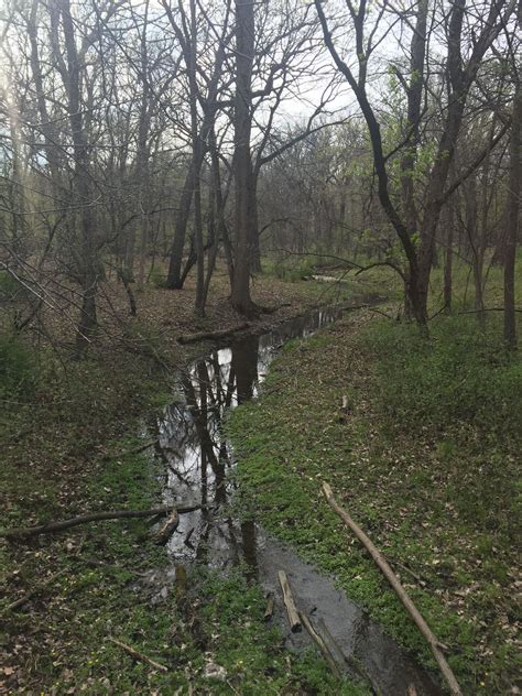 Forest Preserves Of Cook County In The Spring Cook County Forest