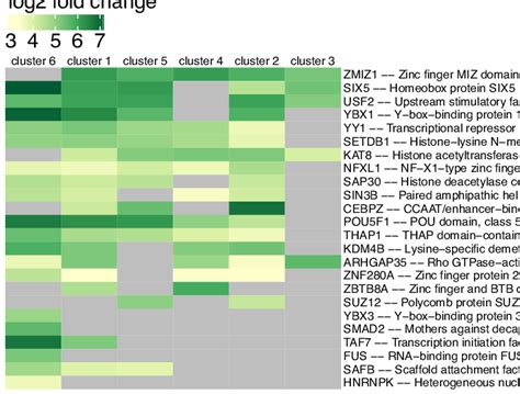 The Fold Enrichment Of TRFs At The Enhancer Clusters Identified By