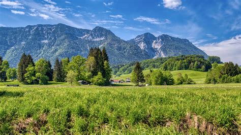 Photo Germany Chiemgau Upper Bavaria Nature Mountain Scenery Grass