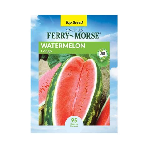 Ferry Morse 1000mg Watermelon Congo Fruit Plant Seeds Full Sun