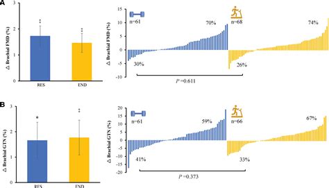 Exercise And Artery Function In Twins Sex Differences In A Cross Over Trial Hypertension