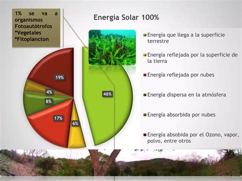 El Sol Fuente Primaria De Energía Ppt Descarga Gratuita