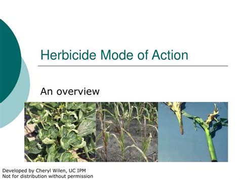 Ppt Herbicide Mode Of Action Powerpoint Presentation Free Download Id 5987402