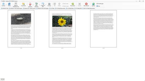 NAPS2 Download - Kostenlose Scanner-Software