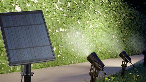 10 Best Solar Spotlights for Garden - 2022 buyforgarden.co.uk