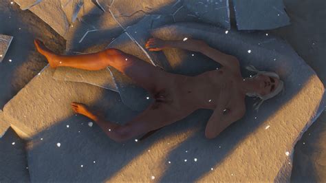 The Witcher 3 Nude Collection Undertow Club