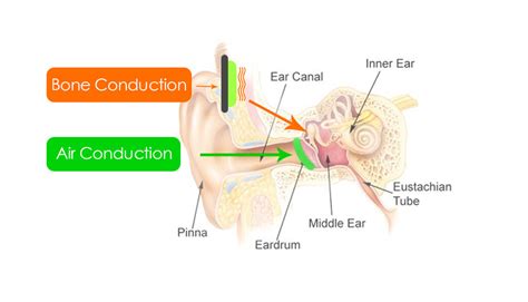 Bone Conduction Technology Headphones Helmets Hearing Aids And Sunglasses