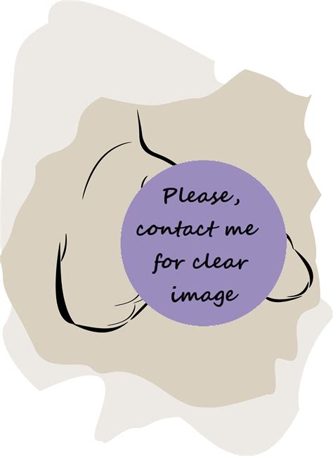 Custom Penis Portrait Personalised Erotic Nude Penis Line Art Drawing Etsy