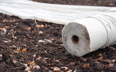 Géotextile comment lutiliser dans son jardin Le Parisien