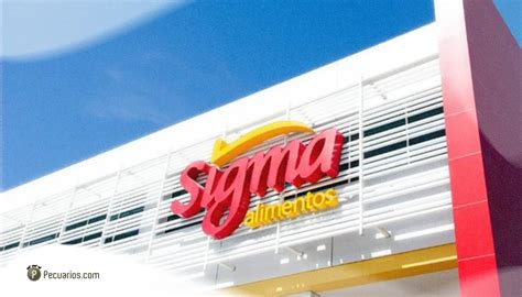 Sigma Alimentos Invirti Capital En Chunk Foods Empresa Dedicada A La