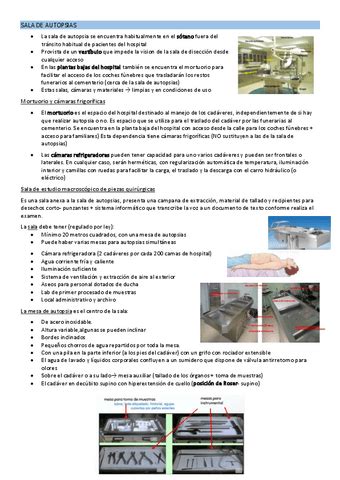 T 1 2 SALA DE AUTOPSIAS Pdf