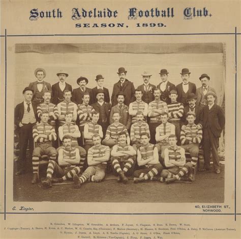 Premierships | South Adelaide Football Club