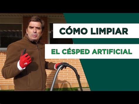 La guía definitiva para limpiar el césped artificial consejos y trucos