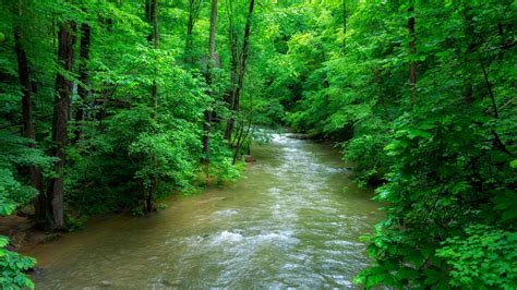 Virginia Lakes and Rivers Map: Old Dominion's Waterways