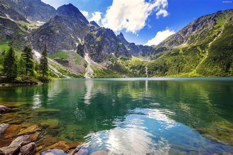 Tapety Zdjęcia Góry Tatry Drzewa Lato Jezioro Morskie Oko Polska