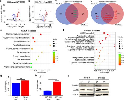 Figure From Metabolic Reprogramming Promotes Metastasis Of Acidosis